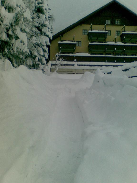 Resort Nevesole Folgarida